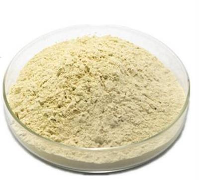 常規產(chǎn)品